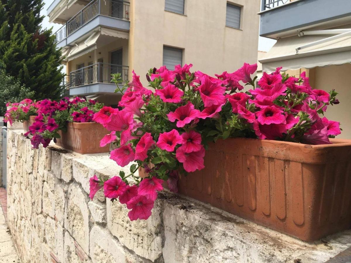 Apartment Flexible 2 Floor Kallithea (Chalkidiki)